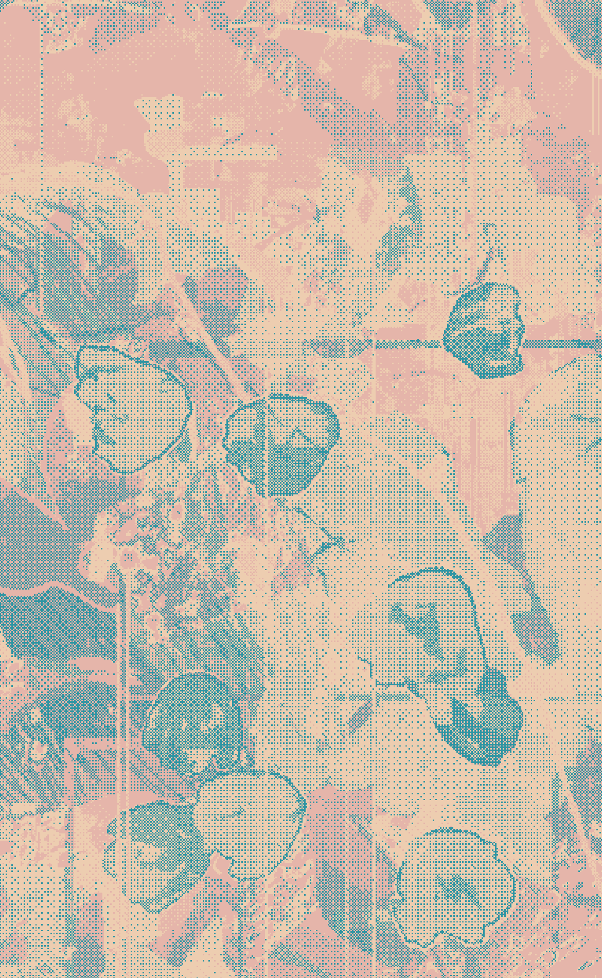 Pixel art. bubbling petals cacade.